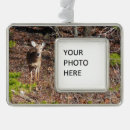 Buscar ciervos adornos Foto