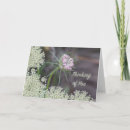 Buscar ana tarjetas Fotografía