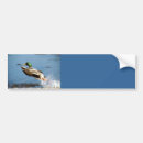 Buscar pato pegatinas parachoque Pájaros