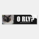 Buscar lolcat Lolspeak
