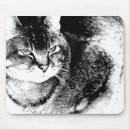 Buscar cat raton fotografía Animal