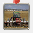 Buscar maíz adornos Cosecha