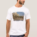 Buscar mar rojo camisetas Israel
