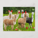 Buscar humor de la cerveza invitaciones Avanti press