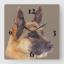 Buscar pastor relojes de pared General y unisex