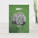 Buscar excusa tarjetas Disculpa