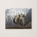 Buscar yacs Animal