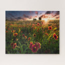 Buscar indios puzzles Amanecer