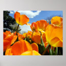 Buscar luminosidad posters Flores