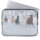 Buscar escondite fundas Caballo de cuarto