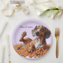 Buscar dachshund platos Salchicha