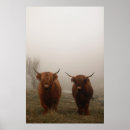 Buscar cuernos posters Altiplano
