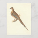 Buscar luto postales Foto