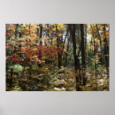 Buscar bosque profundo posters Hojas