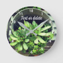 Buscar gallina relojes de pared Fotografía