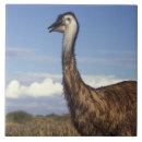 Buscar cucharas azulejos Naturaleza