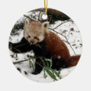 Buscar oso panda lindo adornos Cachorro