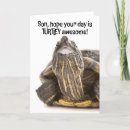Buscar tortuga divertida tarjetas Para él