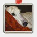 Buscar galgo adornos Blanco