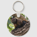 Buscar animales del parque zoológico llaveros Lindo
