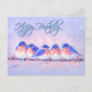 Buscar bluebirds postales Pájaros