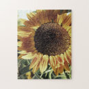 Buscar sunflower fotografía Para todos