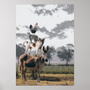 Buscar burro divertido posters Granja