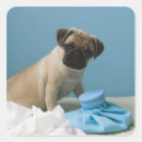 Buscar cabeza de perro pegatinas Interior