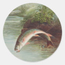 Buscar trucha pegatinas Pescadores