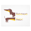 Buscar dachshund fotografía Amante del perro