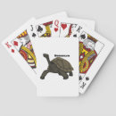 Buscar ecuador barajas de cartas Tortuga