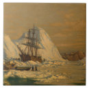 Buscar caza azulejos Para todos