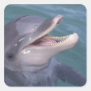 Buscar dientes animales pegatinas Mar