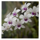 Buscar flor nacional azulejos Flora