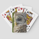 Buscar rapaz barajas de cartas Animal