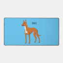 Buscar perritos electronica General y unisex