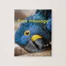 Buscar macaw del jacinto Loro
