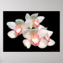 Buscar feliz año nuevo posters Amor