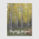 Buscar asta tarjetas Arizona