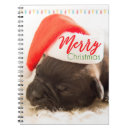 Buscar pug cuadernos Tipografía