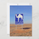 Buscar camellos tarjetas Sahara