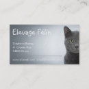 Buscar felina tarjetas de visita Para todos