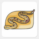 Buscar víboras postales Serpiente de cascabel