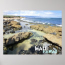 Buscar isla de maui posters Hawaii