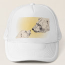 Buscar cubo gorras Animales