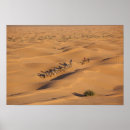 Buscar túnez posters Desierto