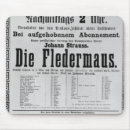 Buscar fledermaus Escuela