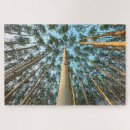 Buscar troncos puzzles Bosques