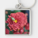 Buscar bicho llaveros Escarabajo