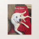 Buscar perros sonrientes puzzles Divertido